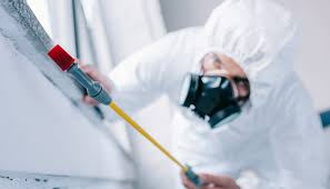 Pest Control for Hotels in The College Of New Jersey, NJ